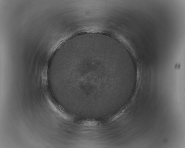 X0000113240202200909171610