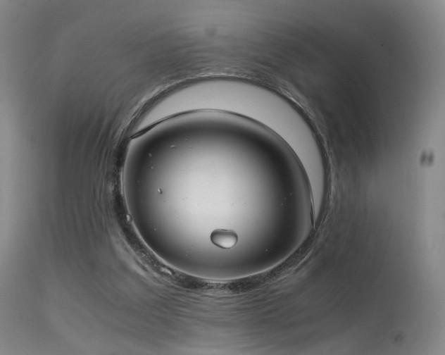 X0000113240203200909171610