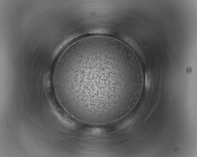 X0000113240204200909171610