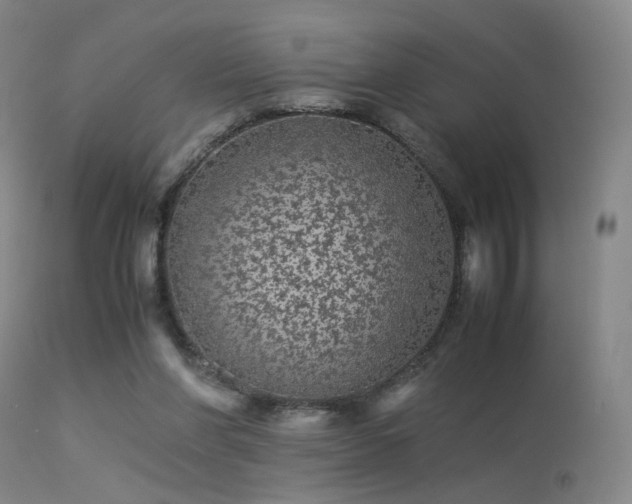 X0000113240206200909171610