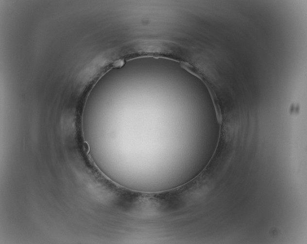 X0000113240207200909171610