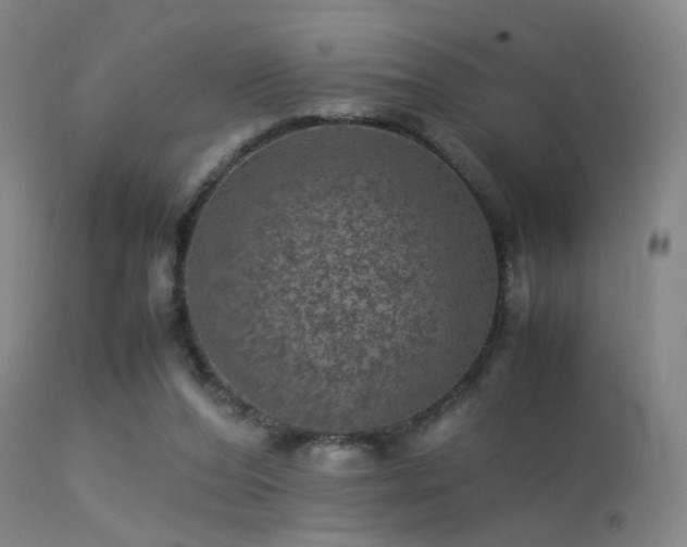 X0000113240208200909171610