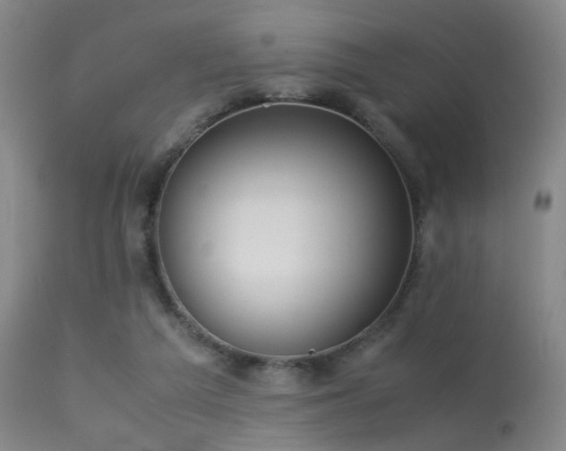 X0000113240209200909171610