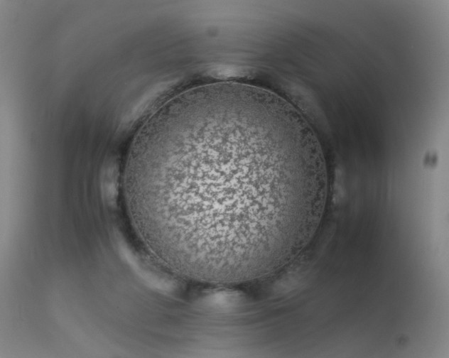 X0000113240210200909171610