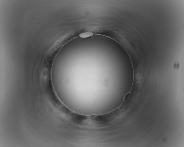 X0000113240211200909171610