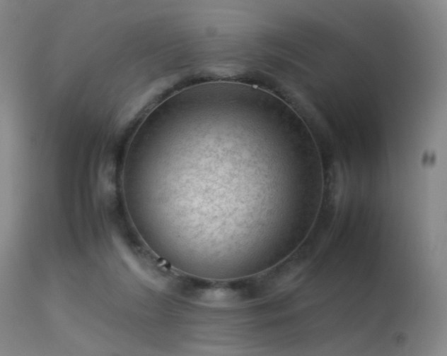 X0000113240212200909171610