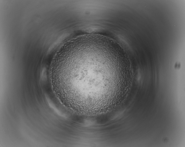 X0000113240214200909171610