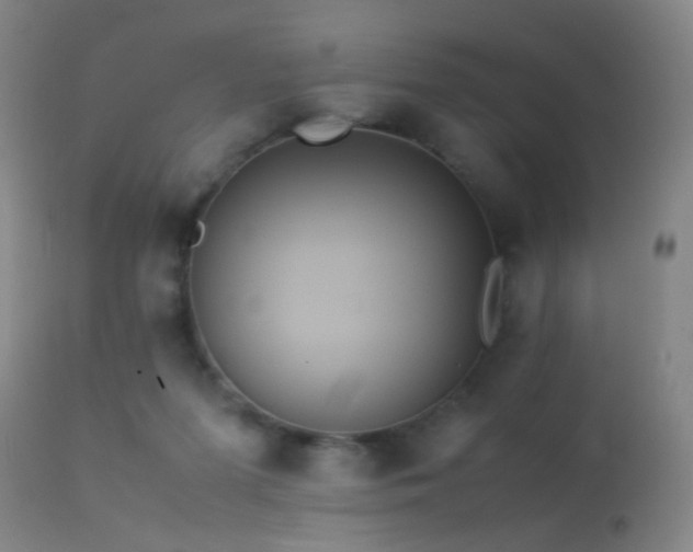 X0000113240215200909171610