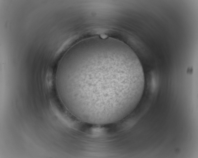 X0000113240216200909171610