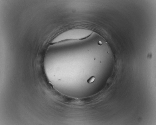 X0000113240217200909171610