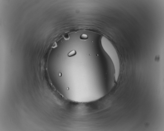 X0000113240219200909171610