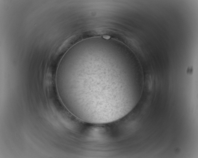 X0000113240220200909171610