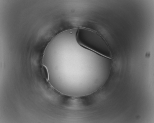 X0000113240221200909171610