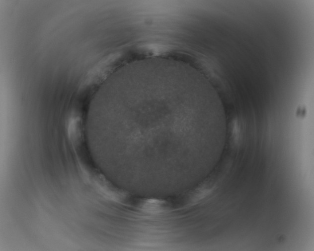 X0000113240222200909171610