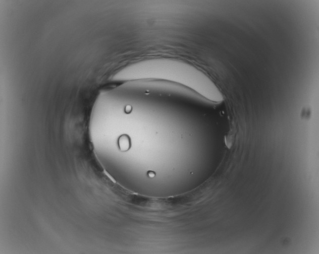 X0000113240223200909171610