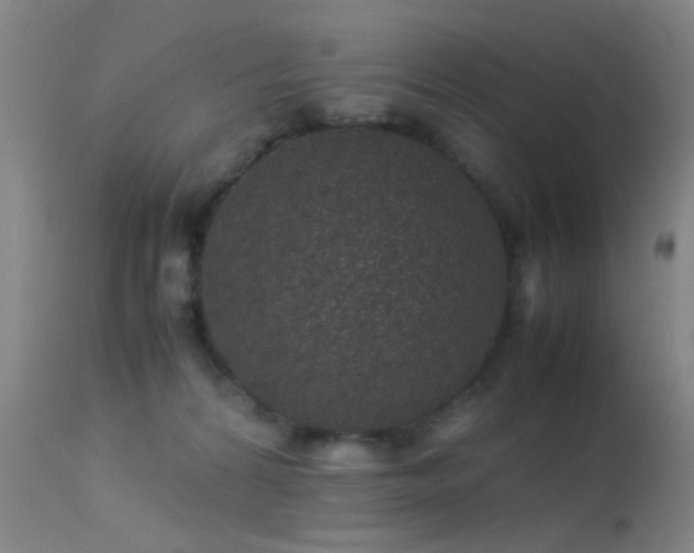 X0000113240224200909171610