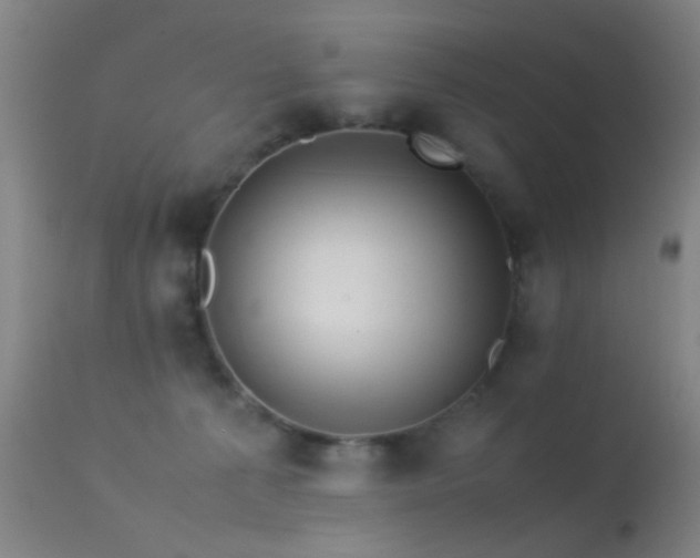 X0000113240225200909171610