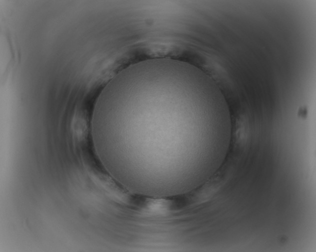 X0000113240226200909171610