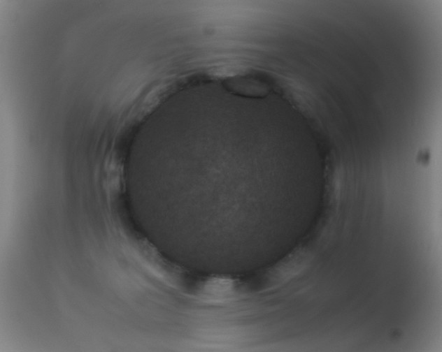 X0000113240227200909171610