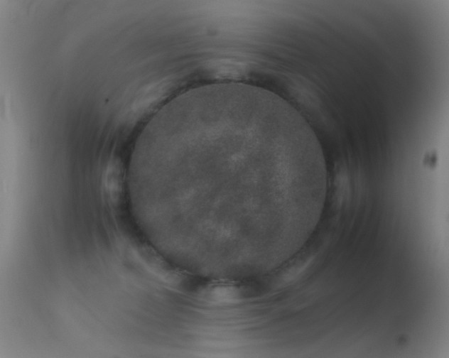 X0000113240228200909171610