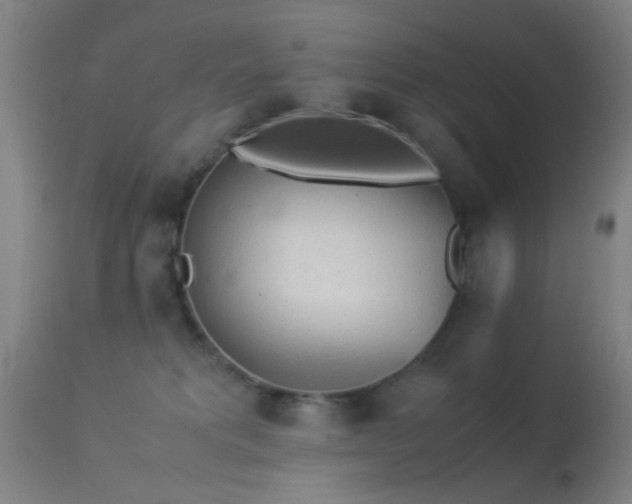 X0000113240229200909171610