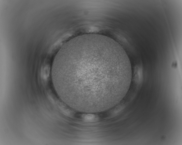 X0000113240230200909171610