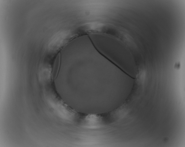 X0000113240231200909171610