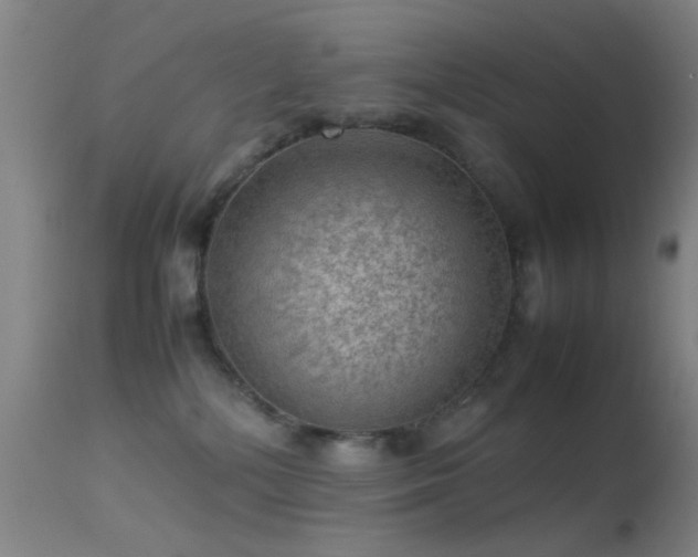 X0000113240232200909171610