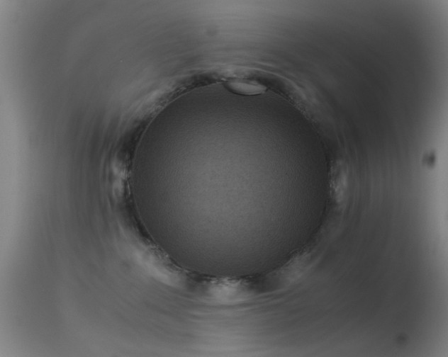 X0000113240235200909171610