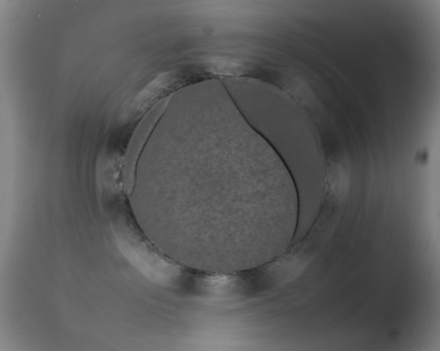 X0000113240237200909171610