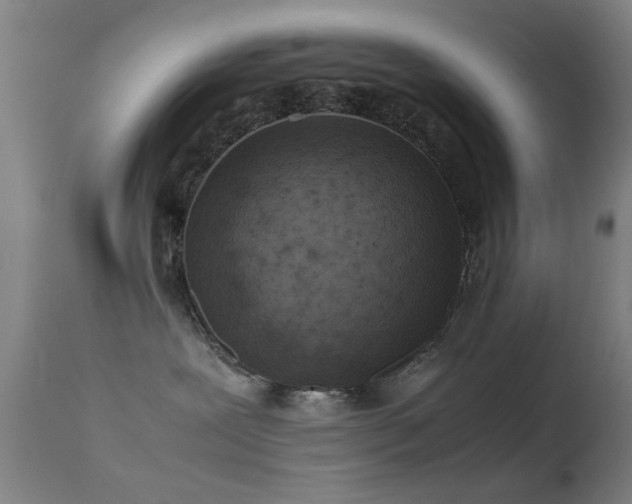 X0000113240239200909171610