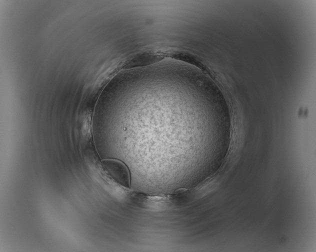 X0000113240240200909171610