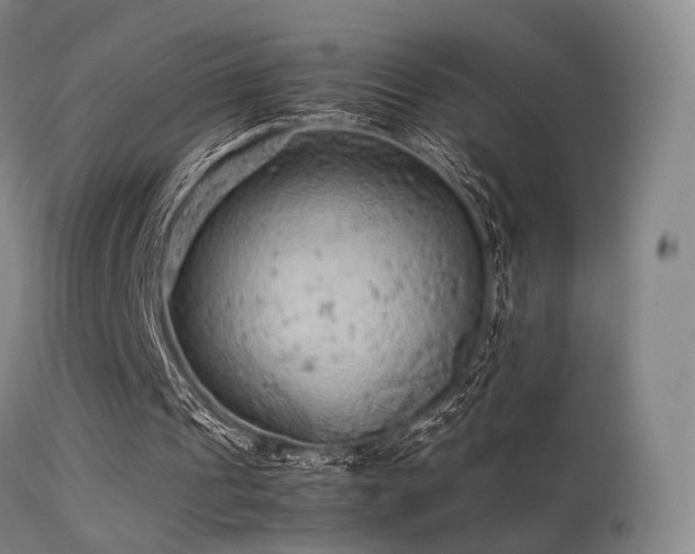 X0000113240241200909171609