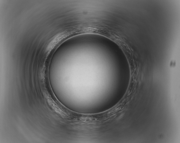 X0000113240242200909171609