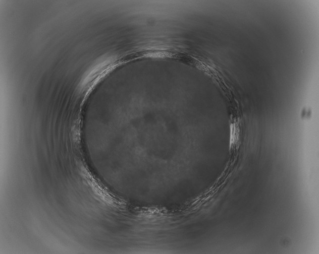 X0000113240243200909171609