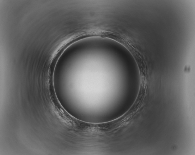 X0000113240244200909171609