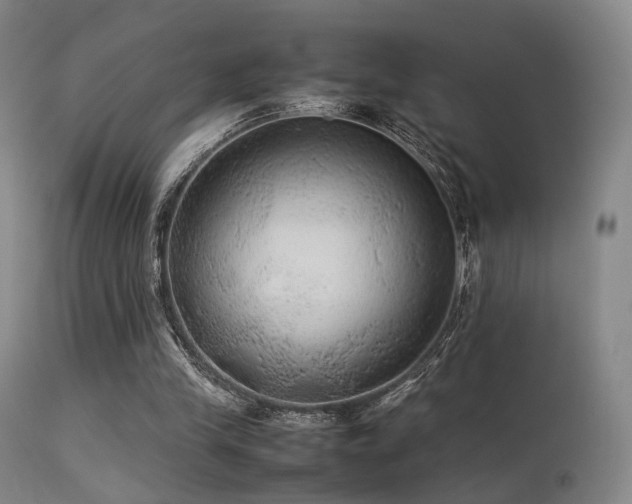 X0000113240245200909171609