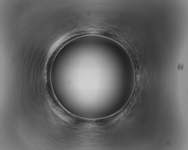 X0000113240246200909171609