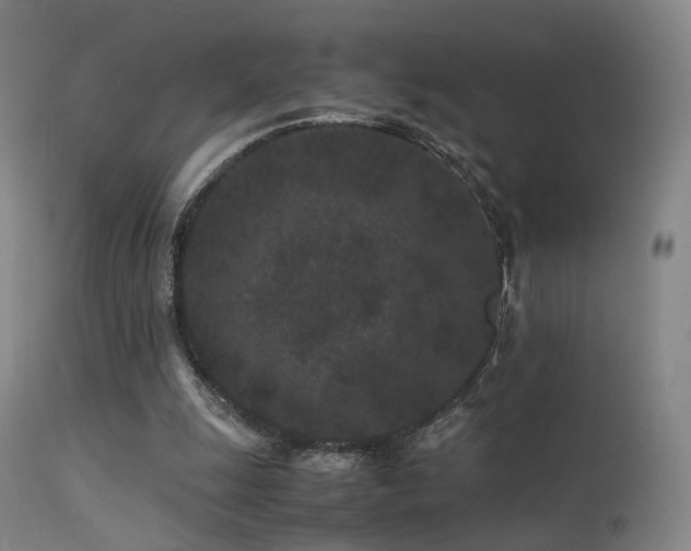 X0000113240247200909171609