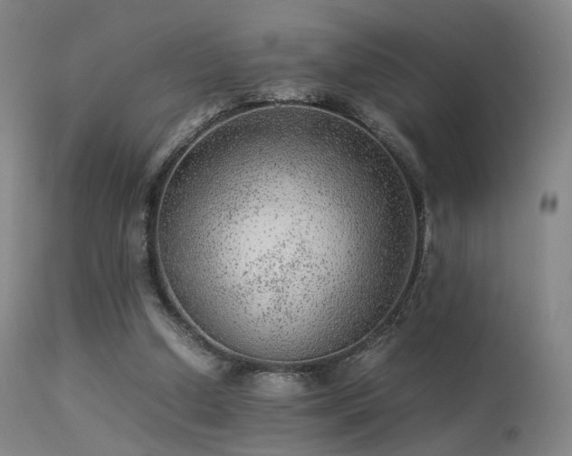 X0000113240250200909171609