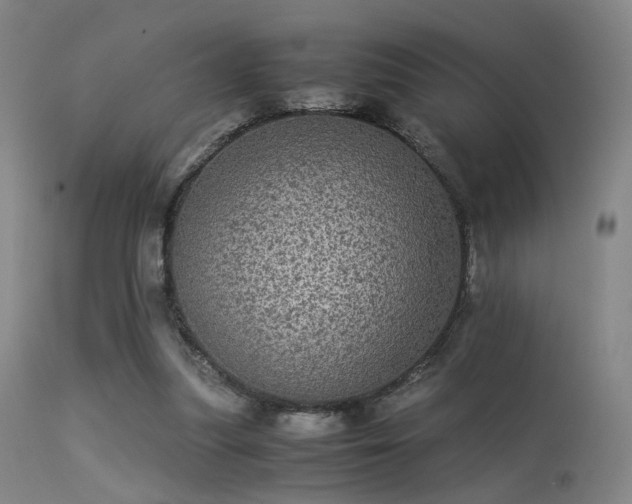 X0000113240251200909171609