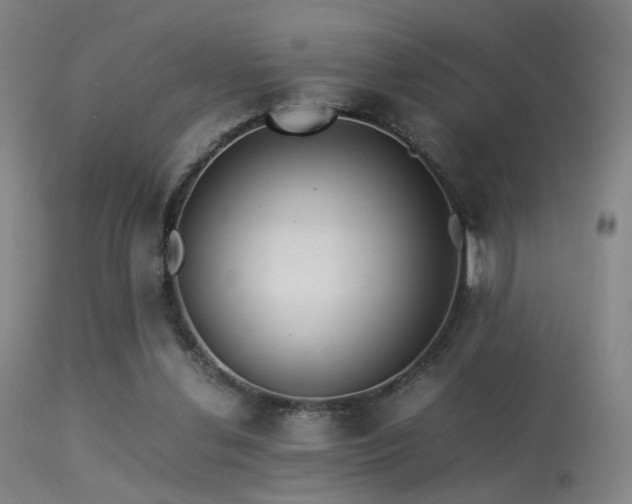 X0000113240252200909171609