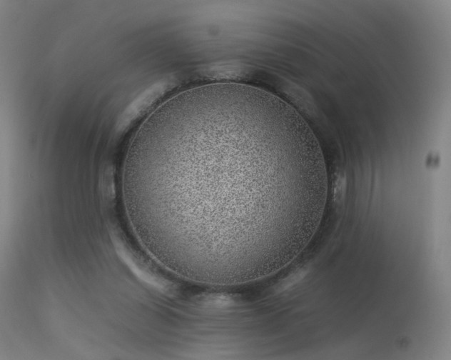 X0000113240254200909171609