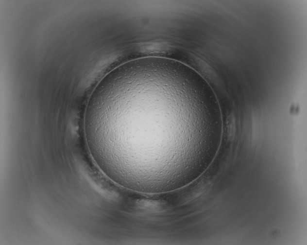 X0000113240255200909171609