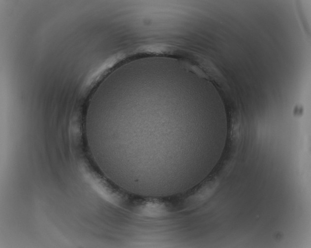 X0000113240256200909171609