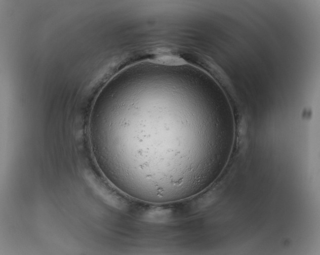 X0000113240257200909171609