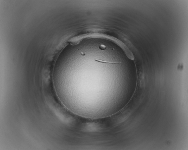 X0000113240259200909171609