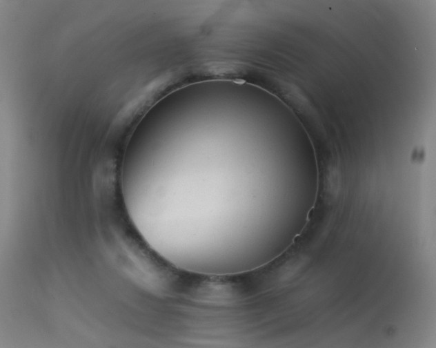 X0000113240260200909171609