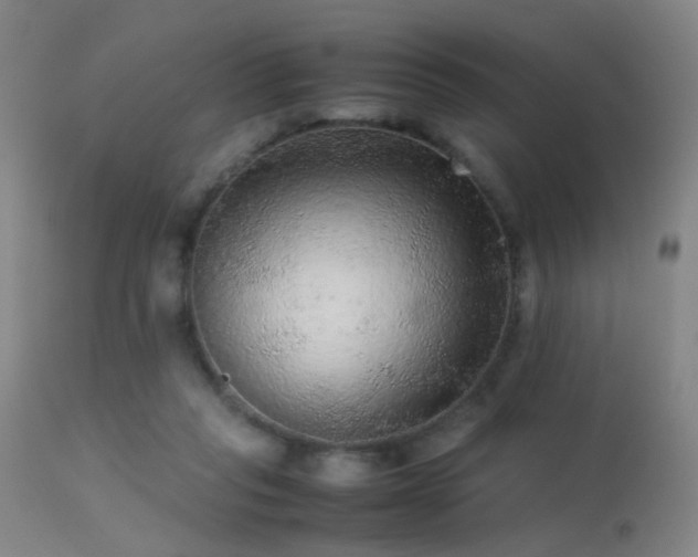 X0000113240261200909171610