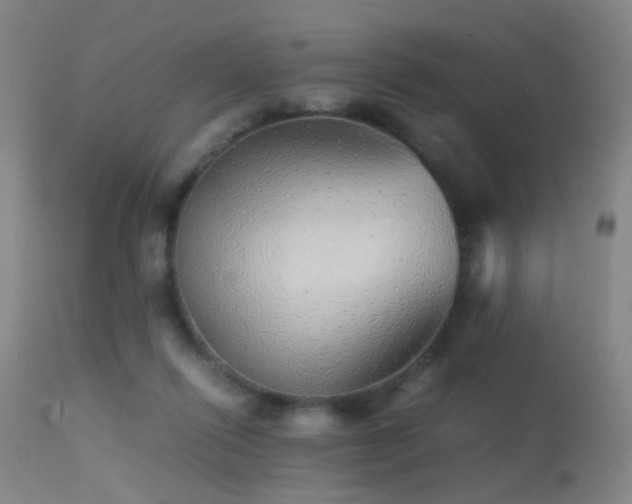 X0000113240262200909171610